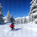 Skier on a snowy mountain